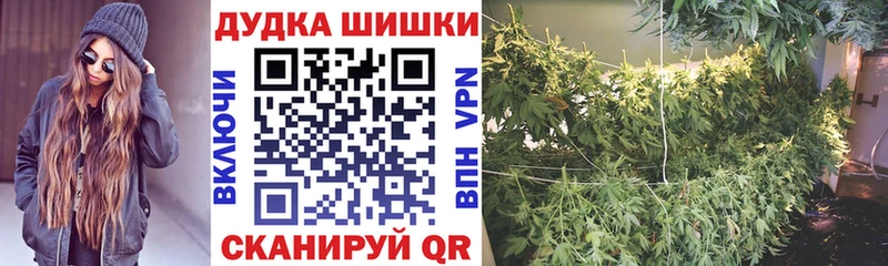 Бошки Шишки THC 21%  где можно купить наркотик  Сургут 